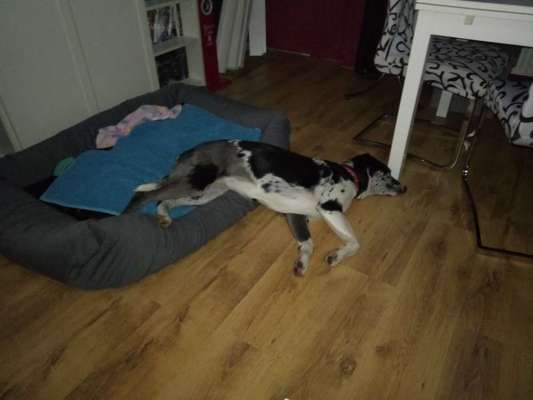 Die unbequemsten und lustigsten Schlafpositionen-Beitrag-Bild