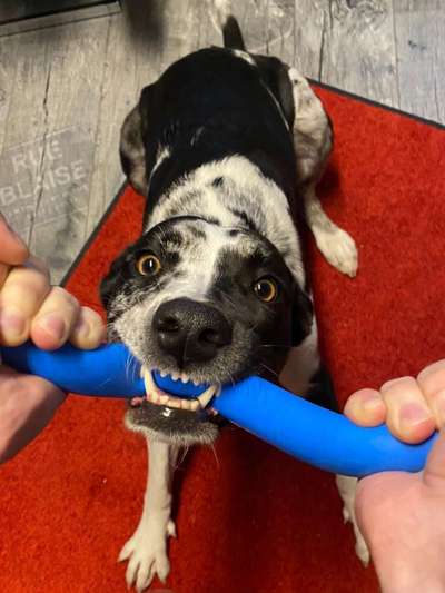 Handy-foto Challange nr. 11-Beitrag-Bild