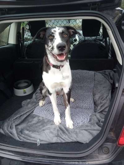 CHALLENGE NR. 18 - ON TOUR-Beitrag-Bild