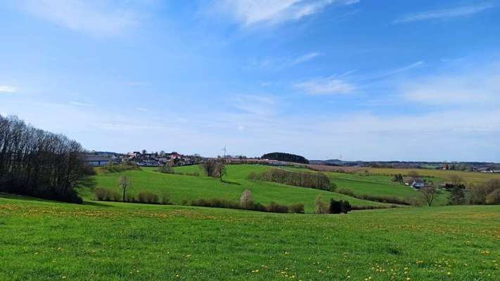 Die wunderschöne Welt mit Hund.-Beitrag-Bild