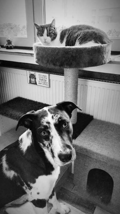 CHALLENGE Nr.17-Beitrag-Bild