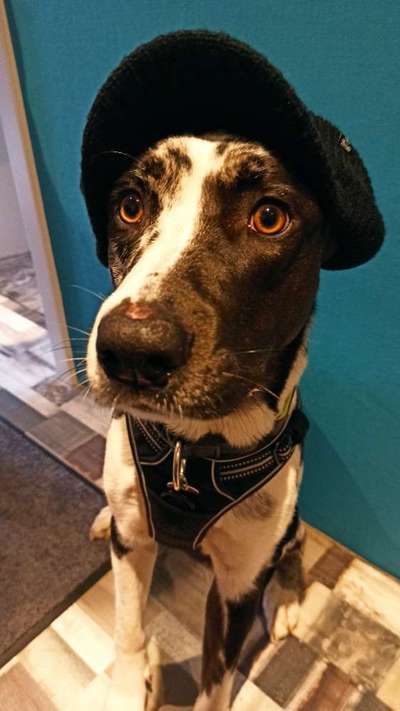 Fotochallenge Nr. 29 - Accessoires-Beitrag-Bild