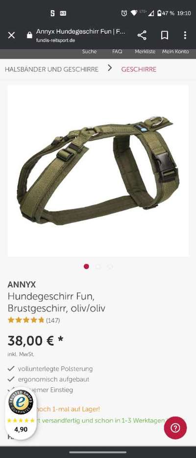 Lagotto Romagnolo Besitzer-Beitrag-Bild