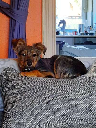 Sie werden so schnell erwachsen ...-Beitrag-Bild