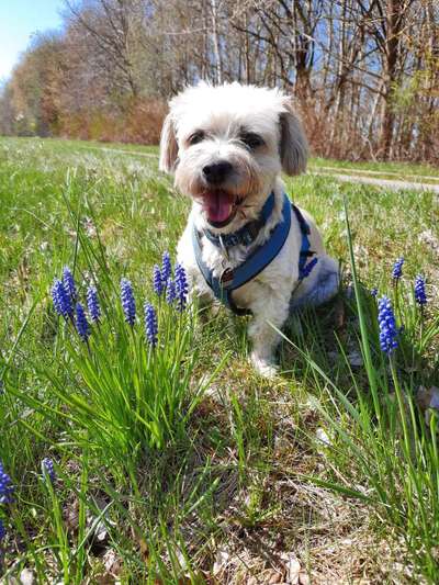 Fotochallenge No. 26                                     Wald und Wiese-Beitrag-Bild