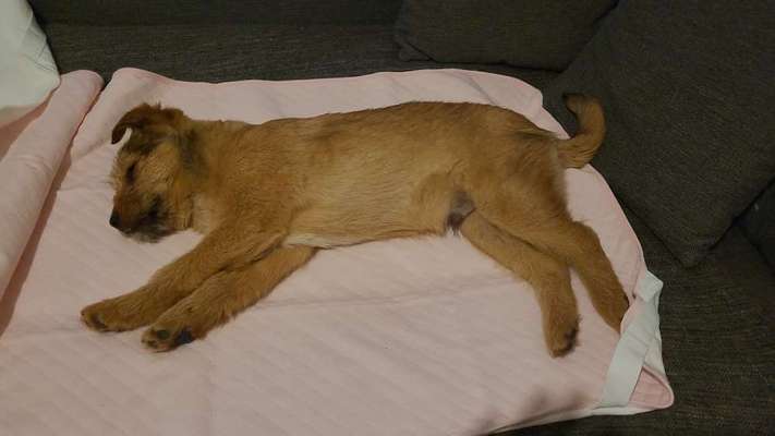 Foto Challenge Nr. 134-Beitrag-Bild