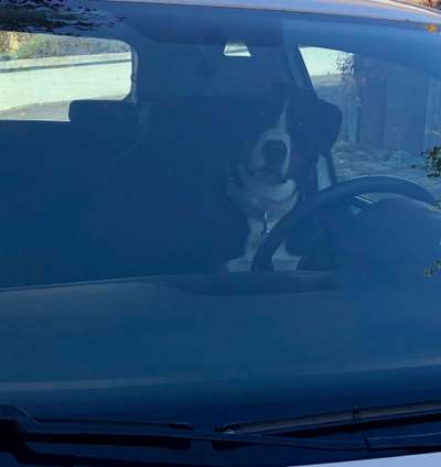 Fotochallenge Nr. 67: Euer Lieblingsbild-Beitrag-Bild