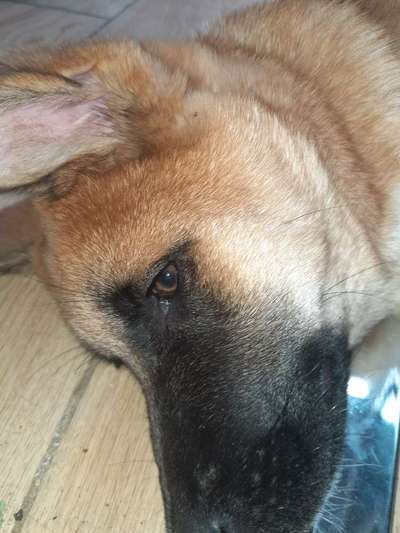 Blick fürs Detail!-Beitrag-Bild