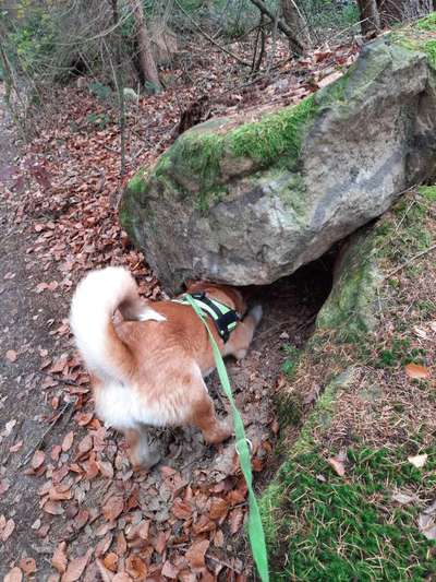 Blick fürs Detail!-Beitrag-Bild