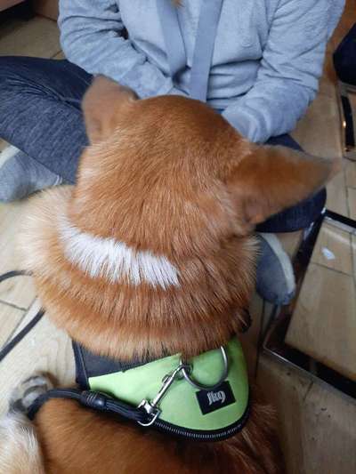 Blick fürs Detail!-Beitrag-Bild