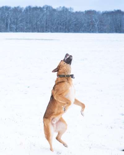 Challenge Nr. 15
Spiel im Schnee-Beitrag-Bild