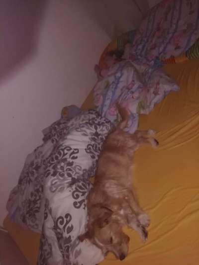 Das erste Foto-Beitrag-Bild