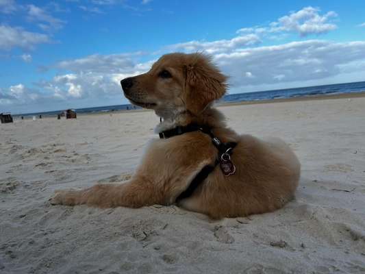 Zeigt eure Portraits-Beitrag-Bild