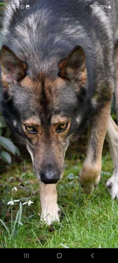 Austausch zur Fotografie-Beitrag-Bild