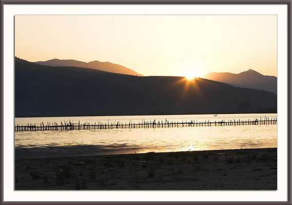 Austausch zur Fotografie-Beitrag-Bild