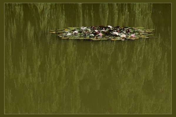 Austausch zur Fotografie-Beitrag-Bild