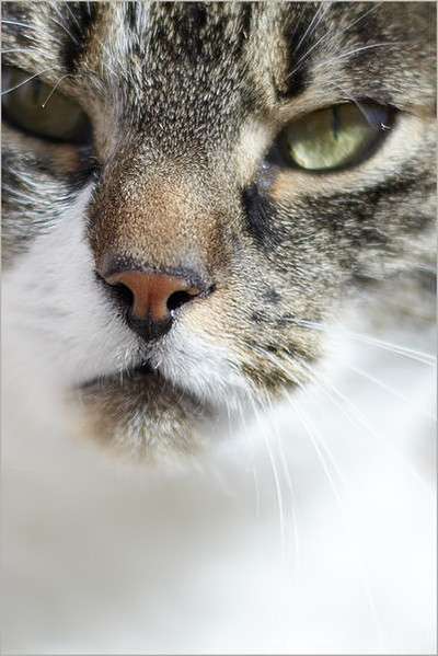 Austausch zur Fotografie-Beitrag-Bild