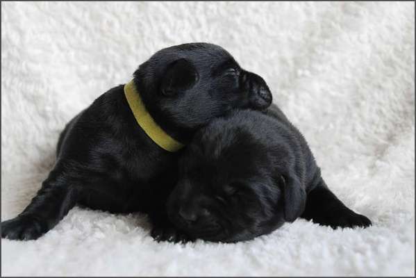 Austausch zur Fotografie-Beitrag-Bild