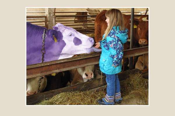 Austausch zur Fotografie-Beitrag-Bild