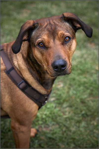 Austausch zur Fotografie-Beitrag-Bild