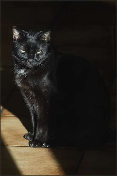 Austausch zur Fotografie-Beitrag-Bild