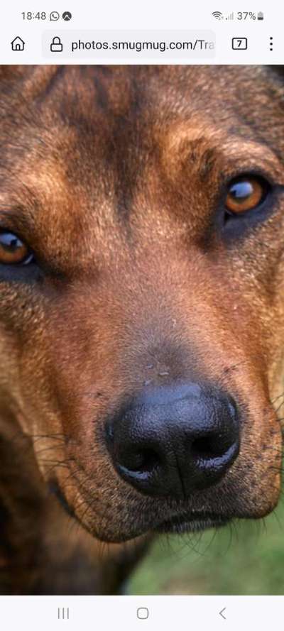 Austausch zur Fotografie-Beitrag-Bild