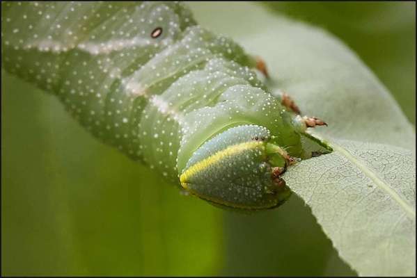 Austausch zur Fotografie-Beitrag-Bild