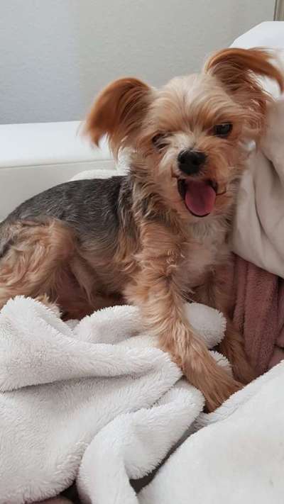 20. Handy -Foto-Callenge-Beitrag-Bild