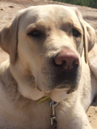 Fotochallange Nr. 57     PORTRÄT.   Beendet!!!!!!!!-Beitrag-Bild