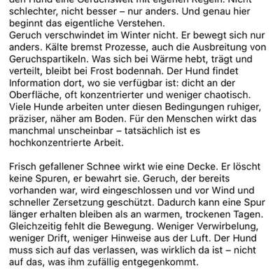 "Wege zur Freundschaft" (Ulli Reichmann)-Beitrag-Bild