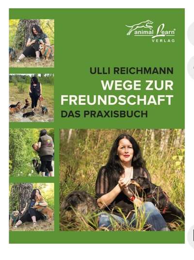 "Wege zur Freundschaft" (Ulli Reichmann)-Beitrag-Bild