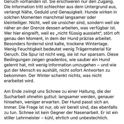 "Wege zur Freundschaft" (Ulli Reichmann)-Beitrag-Bild