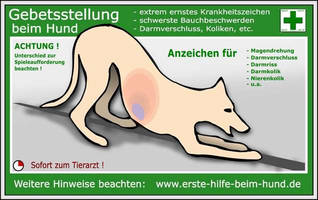 TierschutzhundeStammtisch🐕-Beitrag-Bild