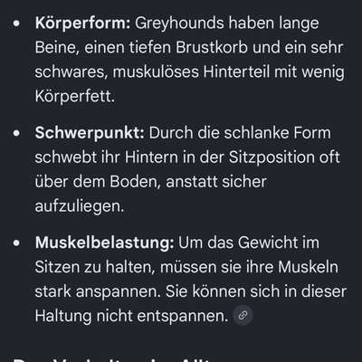 Sitz beibringen-Beitrag-Bild