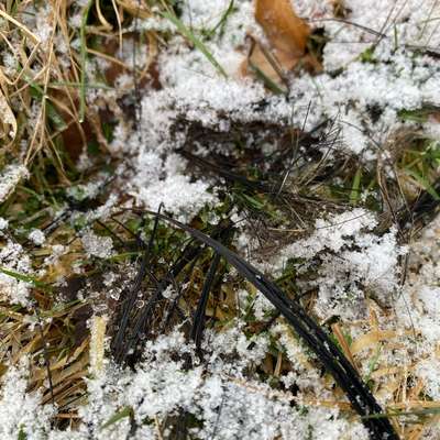 "Wege zur Freundschaft" (Ulli Reichmann)-Beitrag-Bild