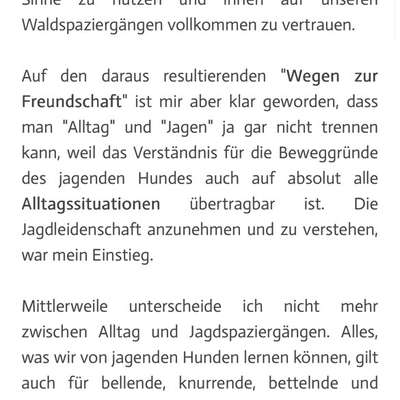 "Wege zur Freundschaft" (Ulli Reichmann)-Beitrag-Bild