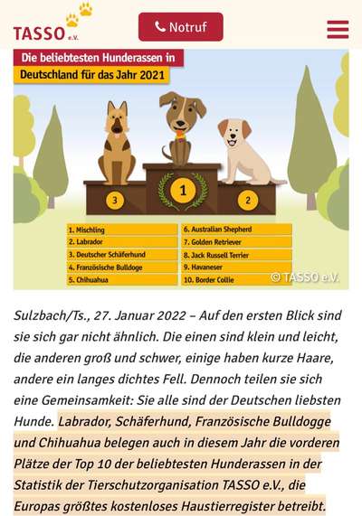 Freunde von 'Kampfhunden'-Beitrag-Bild