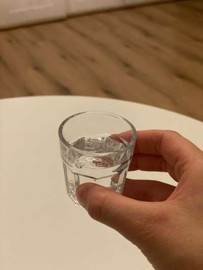 TierschutzhundeStammtisch🐕-Beitrag-Bild