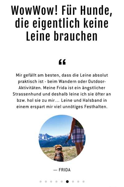 Hundehalsband mit integrierter Leine-Beitrag-Bild