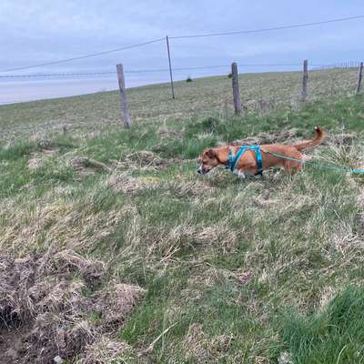 "Wege zur Freundschaft" (Ulli Reichmann)-Beitrag-Bild