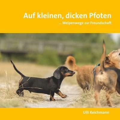 Gestresster Hund-Beitrag-Bild