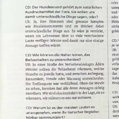 "Wege zur Freundschaft" (Ulli Reichmann)-Beitrag-Bild
