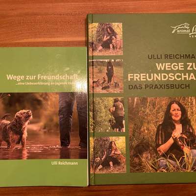 "Wege zur Freundschaft" (Ulli Reichmann)-Beitrag-Bild