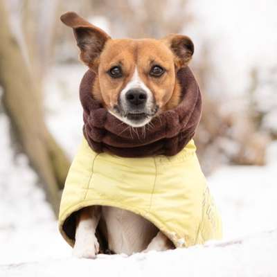 "Wege zur Freundschaft" (Ulli Reichmann)-Beitrag-Bild