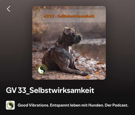 "Wege zur Freundschaft" (Ulli Reichmann)-Beitrag-Bild