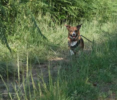 Austausch zur Fotografie-Beitrag-Bild