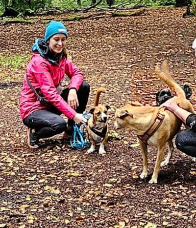 TierschutzhundeStammtisch🐕-Beitrag-Bild