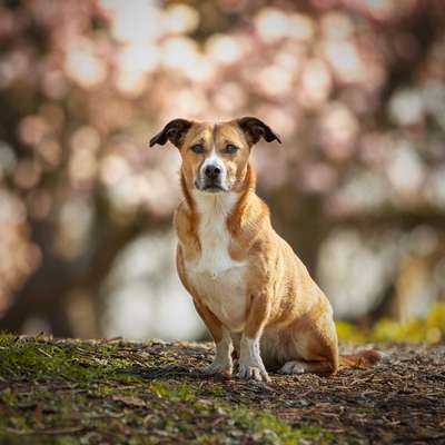 Austausch zur Fotografie-Beitrag-Bild