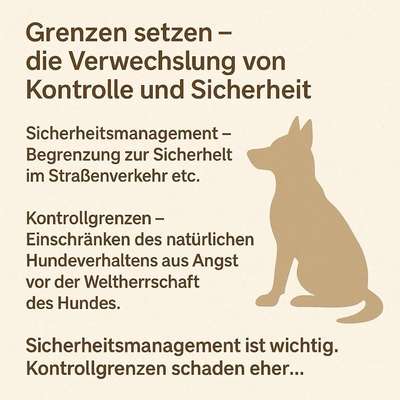 Hund beißt und geht einen richtig an !-Beitrag-Bild