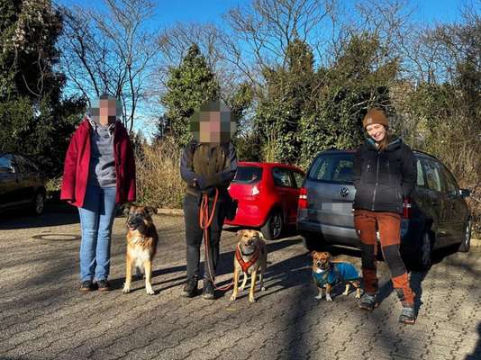 TierschutzhundeStammtisch🐕-Beitrag-Bild